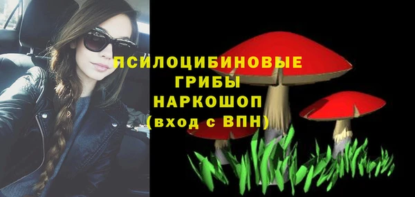каннабис Покачи