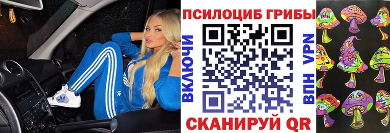 Галлюциногенные грибы Psilocybe  закладки  Тихорецк 